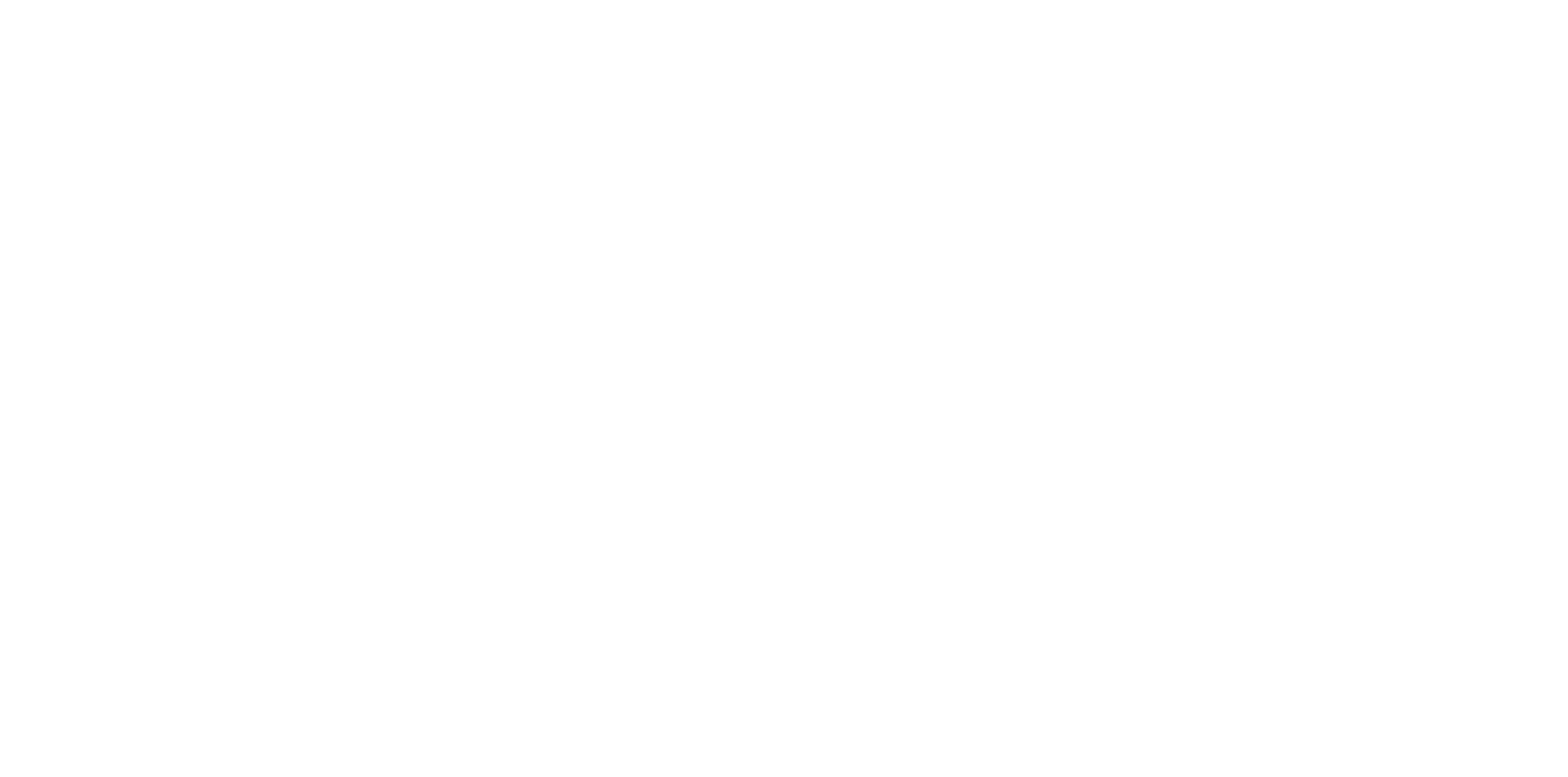 Logo BRUM